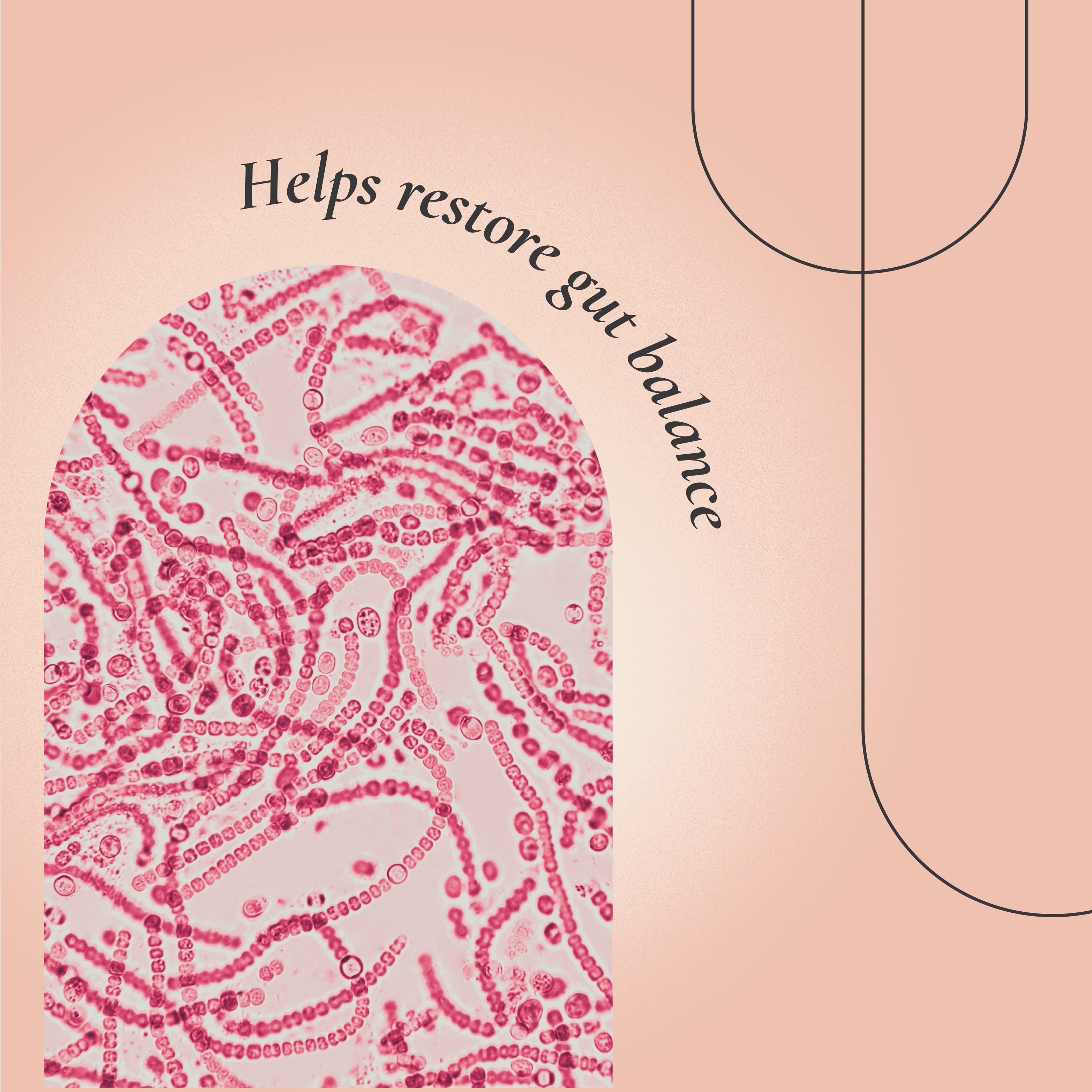 FloraNu Daily Probiotic