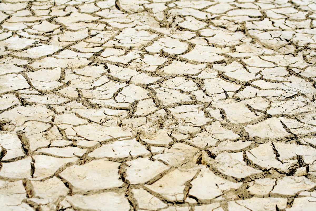 3 Myths of Vaginal Dryness: Separating Fact from Fiction